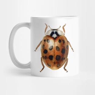 Ladybug mariquita Mug